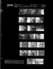 Easter Bunny Landing at Pitt Plaza (20 Negatives), March 18-21, 1967 [Sleeve 18, Folder c, Box 42]